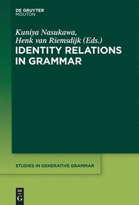 bokomslag Identity Relations in Grammar