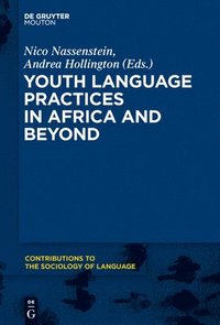bokomslag Youth Language Practices in Africa and Beyond