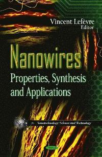 bokomslag Nanowires