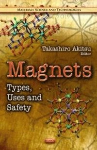 bokomslag Magnets
