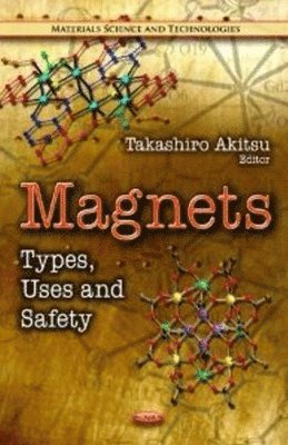 bokomslag Magnets