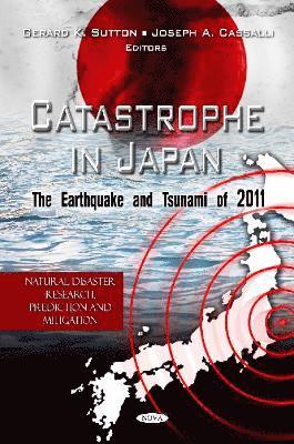 bokomslag Catastrophe in Japan