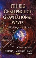 bokomslag Big Challenge of Gravitational Waves
