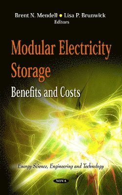 bokomslag Modular Electricity Storage