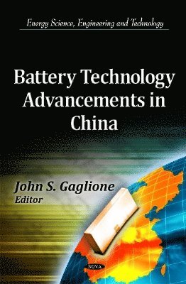 bokomslag Battery Technology Advancements in China