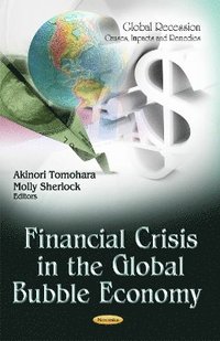 bokomslag Financial Crisis in the Global Bubble Economy