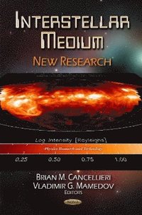 bokomslag Interstellar Medium