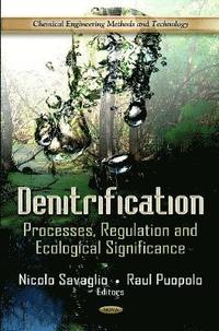 bokomslag Denitrification