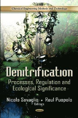 bokomslag Denitrification