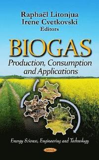 bokomslag Biogas