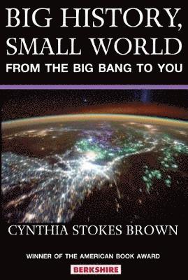 Cynthia Stokes Brown, Cynthia Stokes Brown - Big History, Small World, Häftad