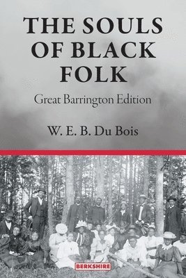bokomslag Souls of Black Folk