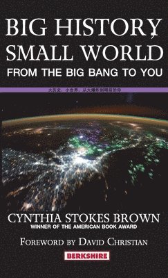 Cynthia Stokes Brown, Cynthia Stokes Brown - Big History, Small World, Inbunden