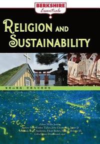 bokomslag Religion and Sustainability