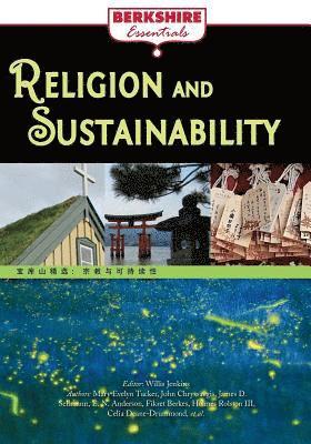 bokomslag Religion and Sustainability