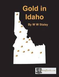 bokomslag Gold in Idaho