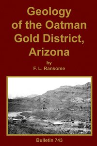 bokomslag Geology of the Oatman Gold District, Arizona