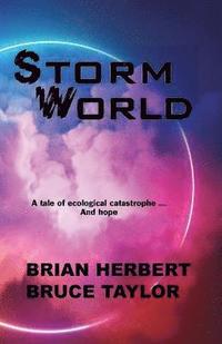 bokomslag Stormworld