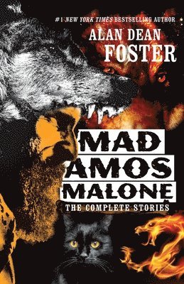 bokomslag Mad Amos Malone