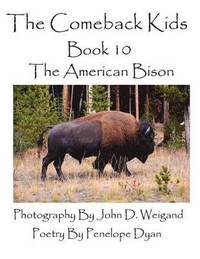 bokomslag The Comeback Kids--Book 10--The American Bison