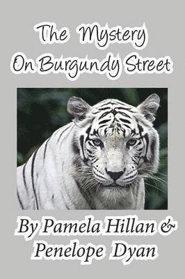 Pamela Hillan, Penelope Dyan - Mystery on Burgundy Street, Häftad