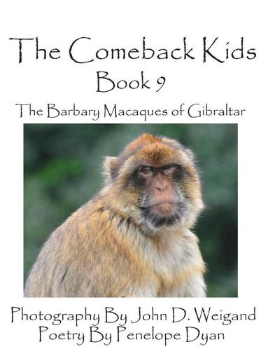 bokomslag The Comeback Kids -- Book 9 -- The Barbary Macaques of Gibraltar