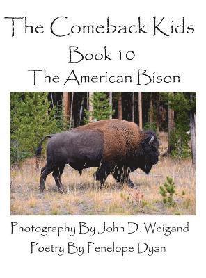 The Comeback Kids--Book 10--The American Bison 1