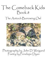 bokomslag The Comeback Kids, Book 8, the Antioch Burrowing Owl