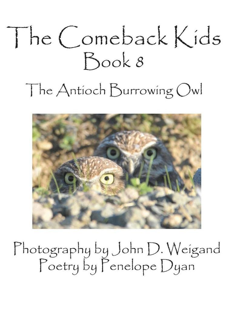 The Comeback Kids, Book 8, the Antioch Burrowing Owl 1