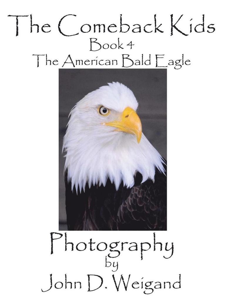 Comeback Kids, Book 4, The American Bald Eagle