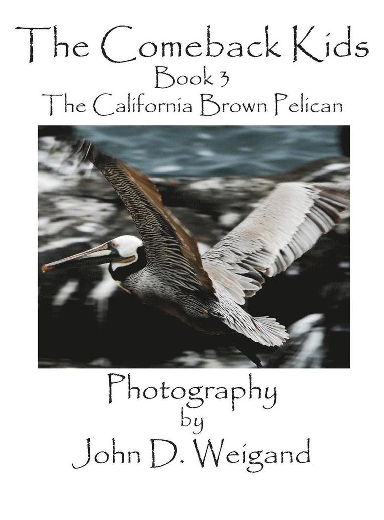 The Comeback Kids, Book 3, the California Brown Pelican 1