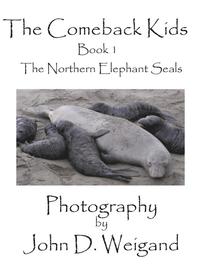 bokomslag "The Comeback Kids" Book 1, The Northern Elephant Seals