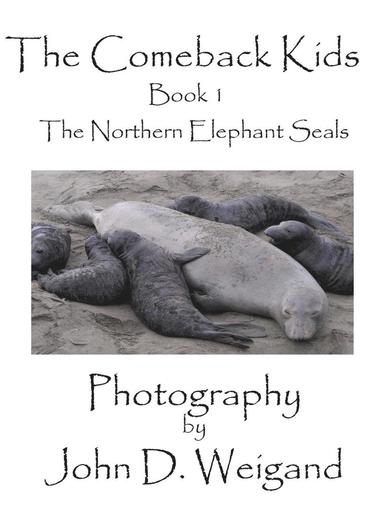 bokomslag "The Comeback Kids" Book 1, The Northern Elephant Seals