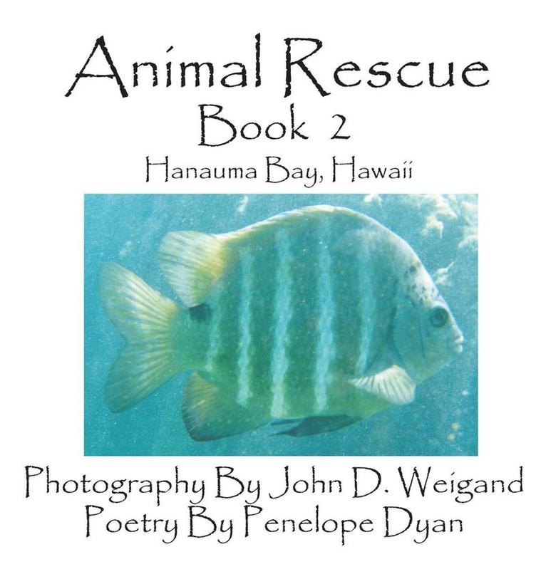 Animal Rescue, Book 2, Hanauma Bay, Hawaii 1