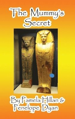 bokomslag Mummy's Secret