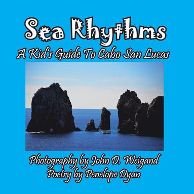 bokomslag Sea Rhythms --- A Kid's Guide To Cabo San Lucas