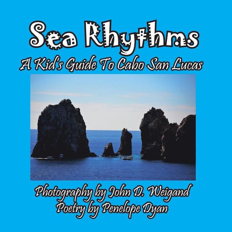 Sea Rhythms --- A Kid's Guide To Cabo San Lucas 1