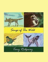 bokomslag Songs of the Wild