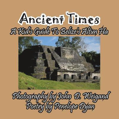 Ancient Times -- A Kid's Guide to Belize's Altun Ha 1