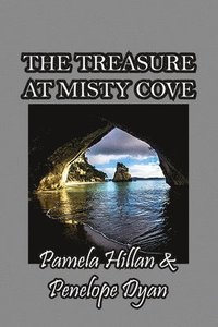 bokomslag The Treasure At Misty Cove