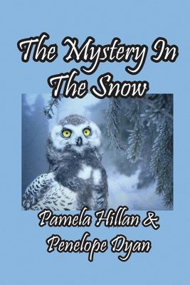 The Mystery In The Snow 1