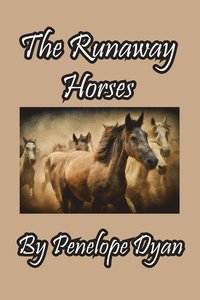 bokomslag Runaway Horses