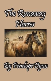 bokomslag Runaway Horses