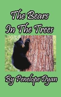 bokomslag The Bears In The Trees