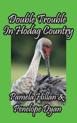 bokomslag Double Trouble In Hodag Country