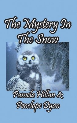 The Mystery In The Snow 1