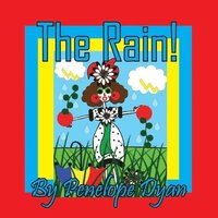 bokomslag Rain!