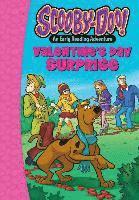 Robin Wasserman - Scooby-Doo and the Valentine's Day Surprise, Inbunden