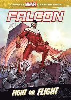 bokomslag Falcon: Fight or Flight