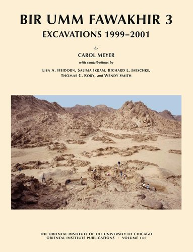 Lisa A. Heidorn, Salima Ikram, Richard L. Jaeschke, Carol Meyer, Thomas C. Roby, Wendy Smith - Bir Umm Fawakhir 3, Inbunden